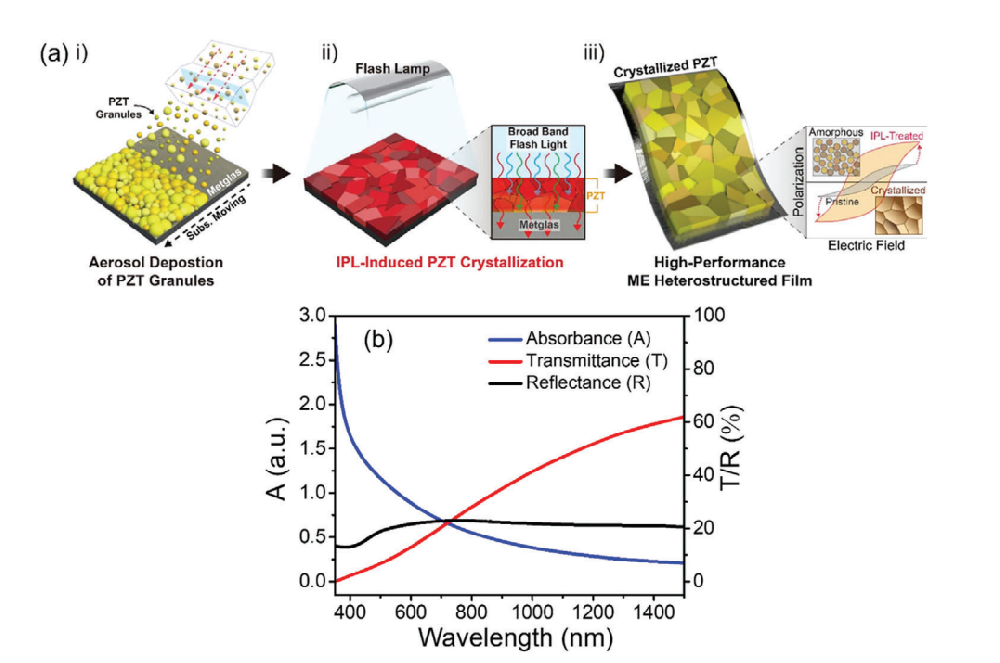 《Advanced Material》：采用光子燒結(jié)熱處理Pb（Zr，Ti）O3/Metglas異質(zhì)結(jié)構(gòu)薄膜會(huì)產(chǎn)生超過20Vcm?1Oe?1的極大磁電耦合（IF=29.477）